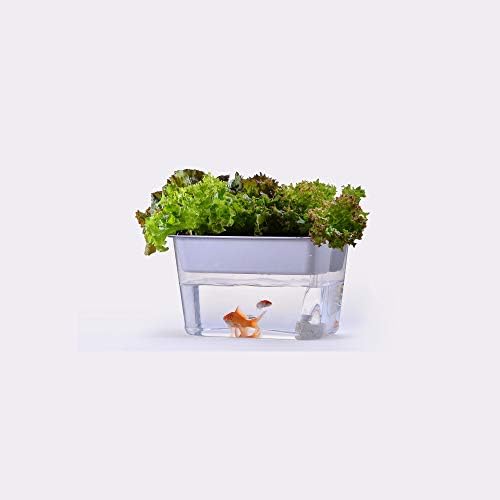 Water Garden Fish Tank,Hydroponics Growing System. Fish Tank With Organic Aquaponic Sprouts And Herbs Aquarium Starter Kit.Landscape Aquarium Office Desk Small Personal Ecology Multifunctional Living Room Creative Aquarium.Great For Kids