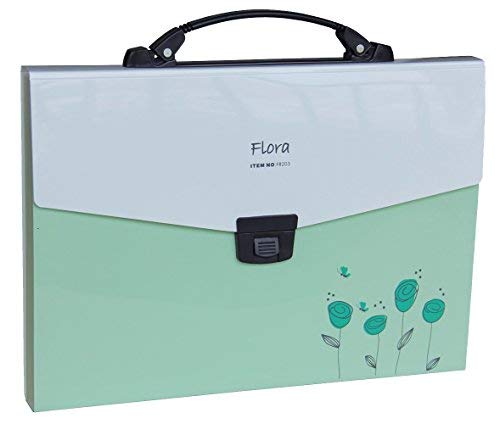 Snail&Hawk Poly Accordion-File-Folders with Handle and Tabs,13-Pockets,A4 Size (Green)