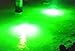 Green Blob Outdoors Fishing Light New (Green 15000 Lumen) Pro 15DX Dock Underwater LED, w/ 30ft Cord, LED, Fish Attractor, Crappie, Snook, Bass, Catfish (15,000 3-Prong Plug, Green)