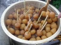 株式会社ジェイエイてんどうフーズ 山形県 名物玉こんにゃく6袋 ジェイエイてんどうフーズ こんにゃく 通販 Amazon