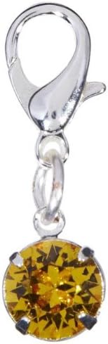 Aidah Jewelry Big Girls' November Birthstone Charm