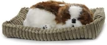 Breathable Shih Tzu Puppy Companion Pet for People with Memory Loss from Aging and Caregivers