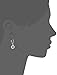 Amazon Collection Sterling Silver Mystic Cubic AAA Zirconia Halo Drop Leverback Dangle Earrings (1.9 cttw)