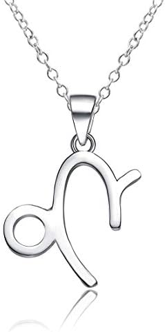 fogohill 925 Sterling Silver Zodiac Sign Necklace Horoscope Constellation Pendant Astrology Necklace Personalized Gifts