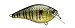 6th Sense Fishing Crush Series Crankbait
