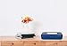 1InTheOffice Pencil Box, Translucent Blue, Plastic Pencil Boxes, 4 Pack