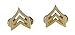 Police Fire EMS Army Collar Brass Pins Insignia Emblem Badges (Assorted Styles) (Sergeant - Gold)