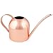 Homarden 30oz Metal Indoor Outdoor Plant Watering Can for House Plants (Copper Color) primary