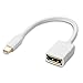 Cable Matters Mini DisplayPort to DisplayPort Adapter (Mini DP to DP) in White - 4K Resolution Ready - Thunderbolt and Thunderbolt 2 Port Compatible primary