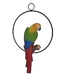 Hanging Parrot Statue Sculpture On Metal Round Ring Decor for Patio Garden Lawn and Nature Lovers Tropical Bird Collectors by Gifts