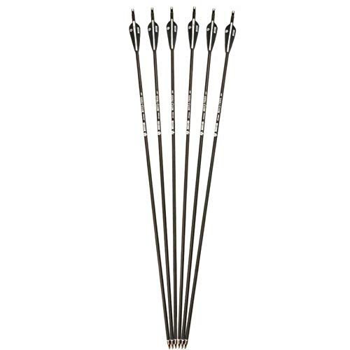E-ROCK 28 Inch Carbon Archery Arrows, Spine 500 with Removable Tips, Hunting and Target Practice Arrows for Compound Bow and Recurve Bow, 6 Pack