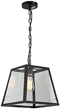SEEKSUNG 1-Light Lantern Pendant,Industry Chandelier,Pendant is well sealed from bugs and dust,Transparent glass lampshade [Energy Class A]
