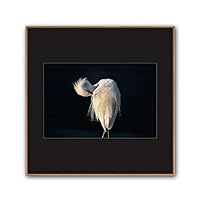 Framed Canvas Wall Art A Bird Standing on Canvas Prints Home Artwork Decoration for Living Room,Bedroom - 16x16 inches