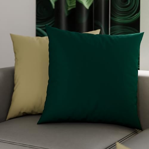 PETTI Artigiani Italiani - Pair of 30x30 cm Microfiber Pillowcases, Bedroom Cushions, Sofa, Set of 2 Cushion Covers, Double Face Taupe Green Pillowcase