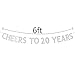 Cheers to 20 Years Banner - Happy 20th Birthday Party Bunting Sign - 20th Wedding Anniversary Decorations Supplies - Silver