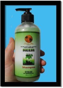 Natural Dandruff Shampoo