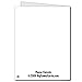 VictoryStore Jumbo Greeting Cards: Giant Birthday Card (Presents and balloons), 2' x 3' card with envelope