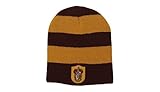 elope Harry Potter Officially Licensed Hogwarts House Beanie