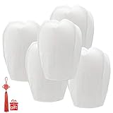 GAYUSAN Chinese Lanterns 20-Pack – 100% Biodegradable, Paper Lantern – Japanese Lantern for Weddings, Celebrations, Memorial Ceremonies