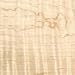 Woodcraft Maple Curly 3/4