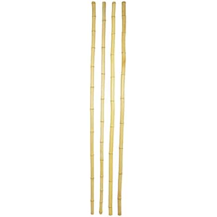 Amazon.com: bamboo poles 10 foot