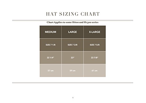 Essence Of Europe Gifts Men's German Fedora Hat W/Bavarian Rope & Feather X-Large Gray