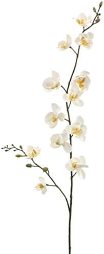 Pack of 12 Artificial Cream Yellow Mini Phalaenopsis Orchid Silk Flower Sprays 30"