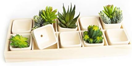 Ceramic Succulent Planter, Set of 10 Succulent Pots in Wooden Indoor Planter