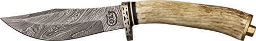 Colt Damascus Skinner Knife