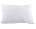BB MY BEST BUDDY Toddler Kids Pillowcase for Boys and Girls - White - Two Pack - 100% Twill Cotton - 13x18 Shrinks to fit - Envelope Style Closure - Machine Washable Soft Travel Size