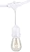 Amazon Basics Outdoor Patio String Lights, S14 Bulb, 48 Feet, White