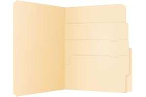 Pendaflex File Folders, Divide It Up, Multi-Section, Letter Size, 4 Tabs for Labeling, Closed Sides for Security, Durable Man