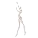 Fenteer Custom Moveable Joints Nude Doll Body Mold for Monster High Dolls DIY Making and Repairing Accessory Set of 5 Pieces