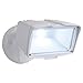 ALL-PRO FSL2030LW, LED Floodlight, White