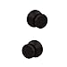 Schlage Custom FC21 BWE 608 KIN Bowery Knob with Kinsler Trim Hall-Closet and Bed-Bath Lock, Satin Brass