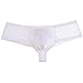Jaxu Men's Elastic Spandex Thong Boxer Shiny Boxers Briefs Guys Pants Sexy Men Pouch Underwear White XL