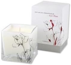 Infusion Organique - Acai Rain Candle