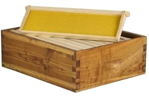 Hoover Hives 10 Frame Medium Super Box for Honey Bee Hives (Unassembled (4 Boxes))