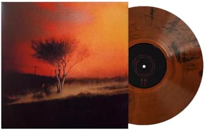 Amazon.com: Piss In The Wind Prism Vinyl LP, Joji: CDs & Vinyl