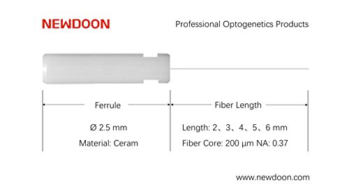 Fiber Optic Cannulaï¼ˆFerrule Material:Ceramicsï¼‰ (Î¦2.5mmï¼ˆFerrule Diameterï¼‰, Î¦200Î¼mï¼ˆFiber Coreï¼‰, 5mmï¼ˆFiber Lengthï¼‰)