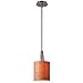 Kenroy Home 93011BS Bulletin Mini Pendants, 1 Light, Brushed Steel
