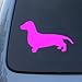 DACHSHUND SMOOTH SILHOUETTE - Dog - Decal Sticker #1504 | Vinyl Color: Pink
