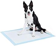 AmazonBasics Orina de perro y cachorro, almohadillas de entrenamiento para orinal, absorción de alta resistencia