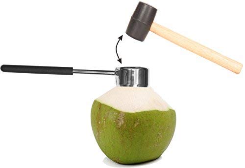 5 Coconut+Stainless+Opening+Drinking+Coconuts