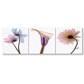 3 Panel Elegant Flowers Painting Wall Bedroom Living...