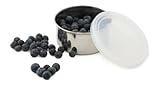 U Konserve - Stainless Steel Food Container, Pack in Lunches, Picnics and Travel, Perfect for Fruit Salad, Cut Veggies, Pasta Salad and More, Dishwasher Safe (Medium, Clear)