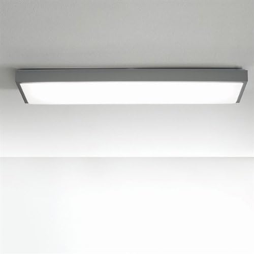 Zaneen Lighting D1-2063 FlatR Large ADA Flush Wall Sconce, White