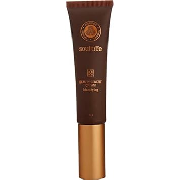 SoulTree Ayurvedic BB Cream - Golden Glow, 30 g