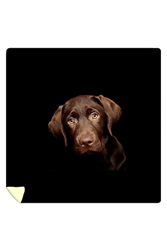 Chocolate Labrador Puppy (88x88 Queen Microfiber Duvet Cover)