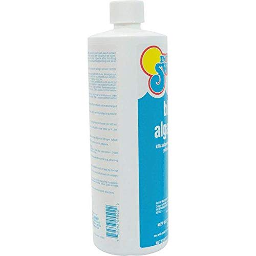 In The Swim Black Algaecide Eradicates Black Algae in Swimming Pools